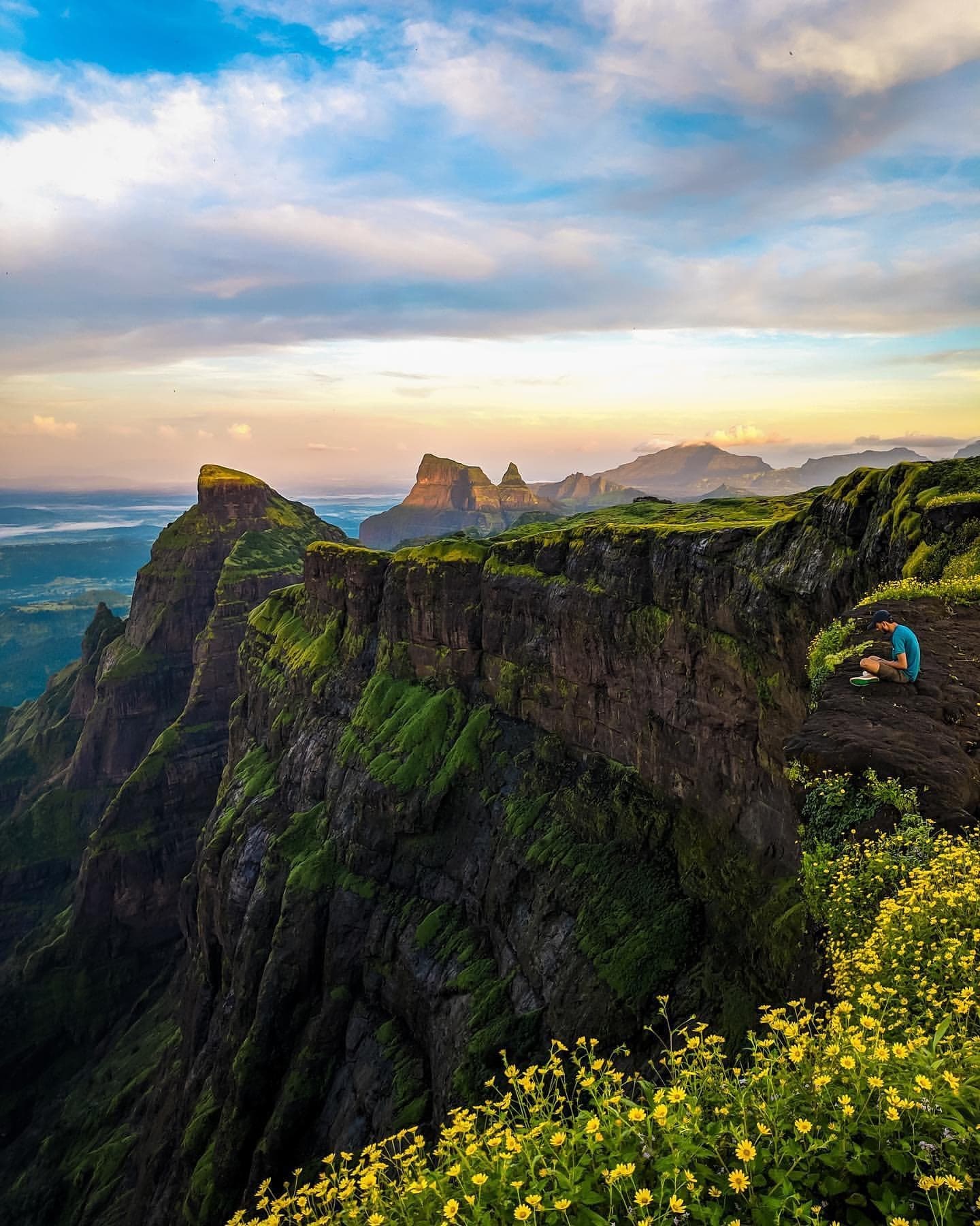 The Harishchandragad ridge at dusk — yellow wildflowers in the foreground, cliffs falling away into the valley