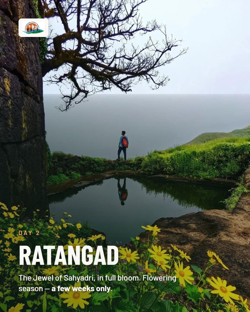 Day 2, Ratangad — a trekker beside the fort pond under a bare tree, yellow flowers in bloom